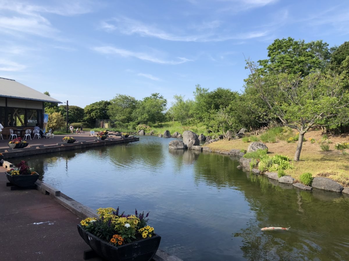 🏞️ 시즈오카 현영 요시다 공원 (시즈오카켄에이 요시다코엔) 이미지 1